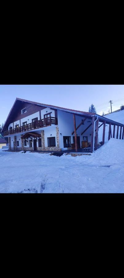 Pensiunea Trei Brazi Arieseni Exterior photo